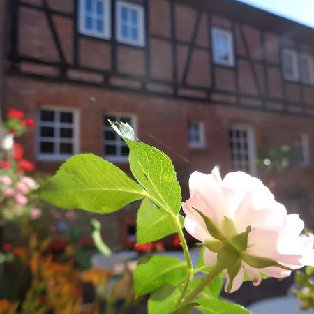 Hotel Puell